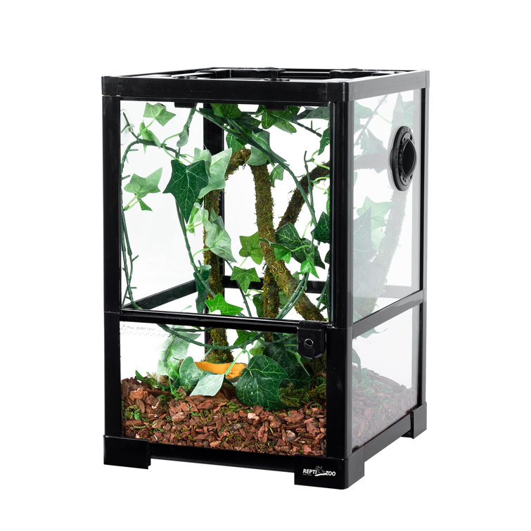 Reptizoo 10 Gallon Terrarium Wayfair